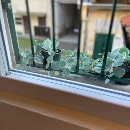 Grazioso Monolocale ミラノ