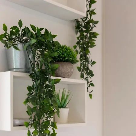 Apartment Fenix *