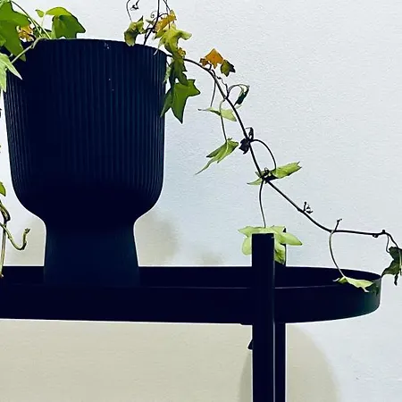 דירה Tortona 767 - Smart House Nella Moda E Design - Navigli - Fuori Salone מילאנו