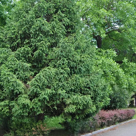 Portello Flat With Balcony Mailand