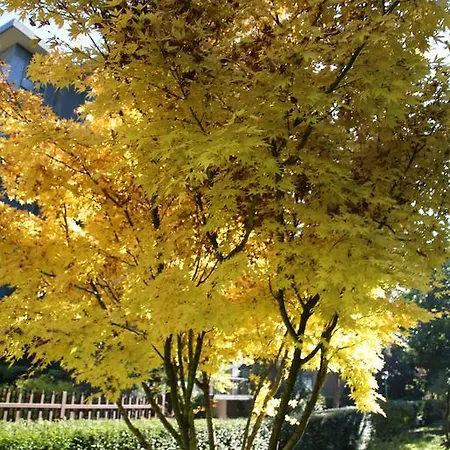 Bilocale Indipendente Apartman Milánó