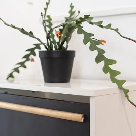 Apartamento I Host - Pasteur 15-2 Milán