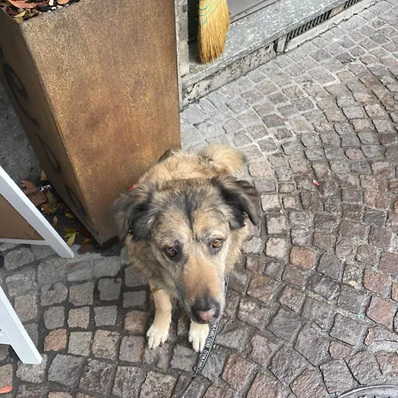 Di Greta E Marco Appartement *