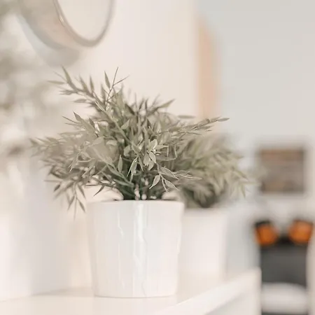 Appartement Solari New