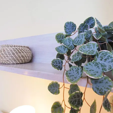 Primopiano - Carpi * Milano