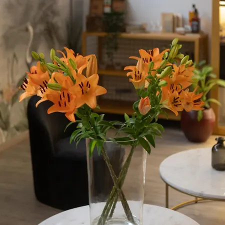 Hotel Kleos Citta Studi By Kleos Group Collection 3*