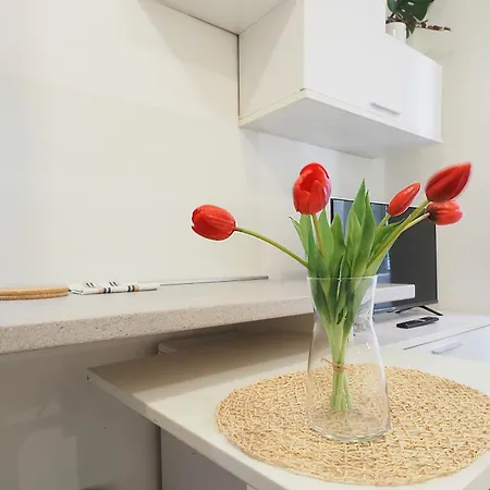 Primopiano - Torricelli