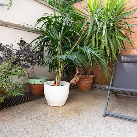 Guest house Citta Studi - Collection 3*