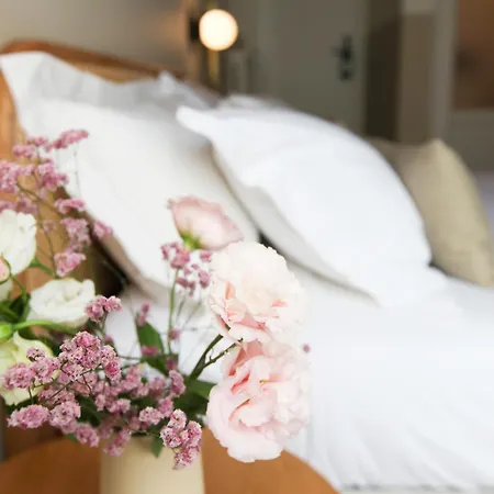 Konukevi Ca Bela - Certosa