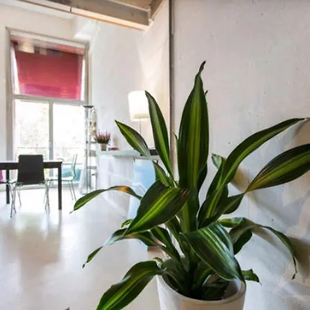 Green Loft *