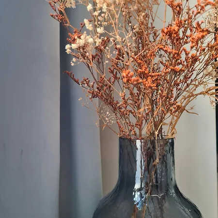 Πανσιόν Serendipity - Navigli Μιλάνο