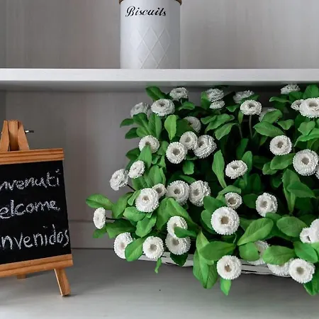 Caterina A 5 Minuti Da Fiere E San Siro Con Wifi-netflix-free Parking * Milán