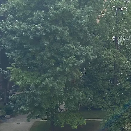 Magie Tortona District-navigli *