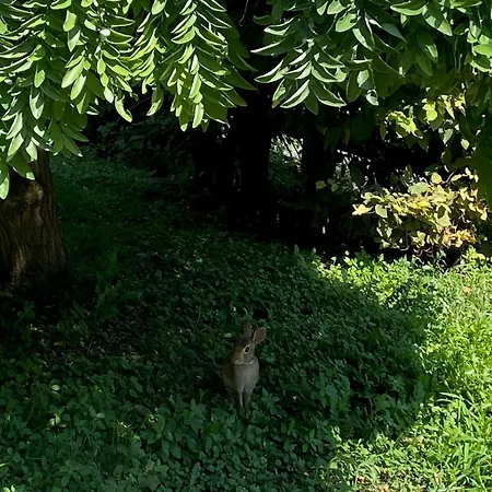 Lägenhet Magie Tortona District-navigli Milano