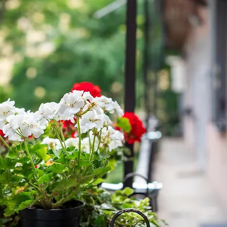 Nawa Navigli דירה