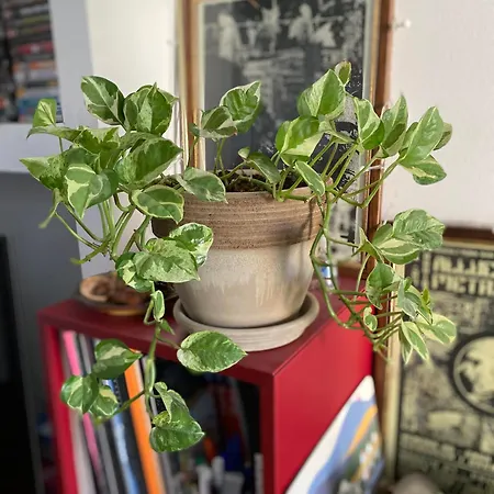 Bilocale - Zona Isola 아파트 밀라노