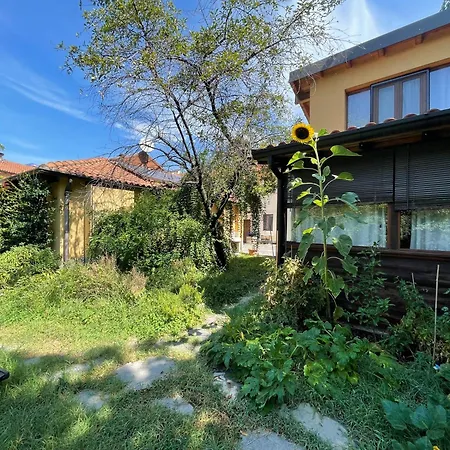 Oasis On Water In The Center Of Daire Milano