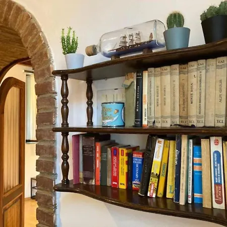 Oasis On Water In The Center Of