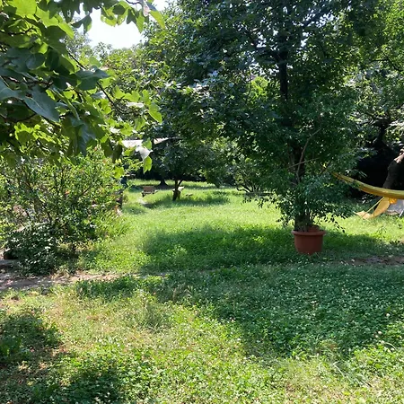 Oasis On Water In The Center Of Daire Milano