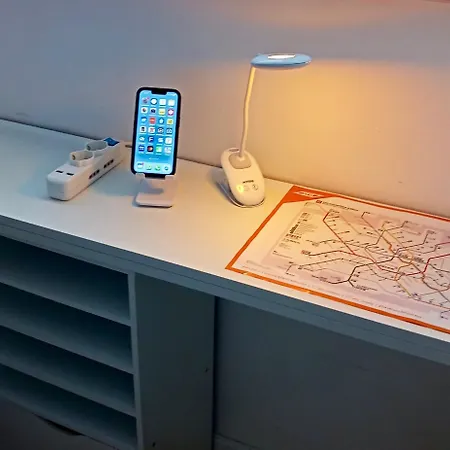 The Small White House In *