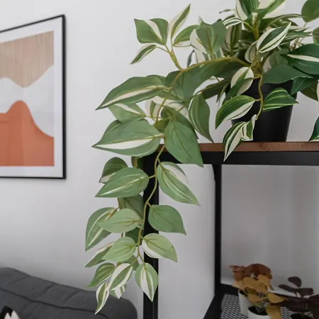 Italianway Comfort - Gallura 9 B *