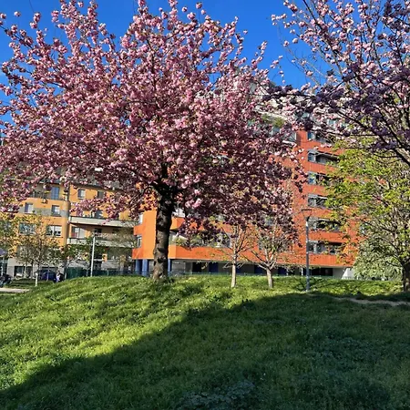 Chiara 18 - M4 Metro Blu *