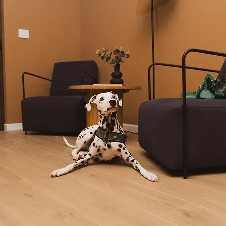 House Of Design Casati - Corso Buenos Aires 3*