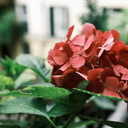 Appartement Comecasa Monolocale Vicino Stazione Milaan