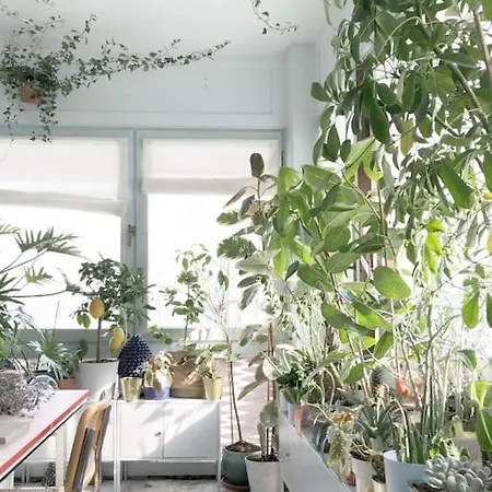 Green House