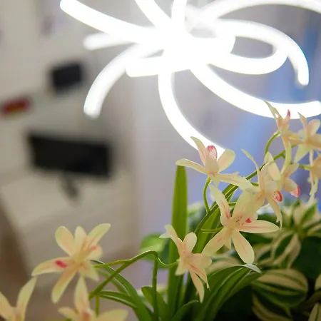 Isola Brera Duomo - Antica Atmosfera - Lovable Cozy Apartment