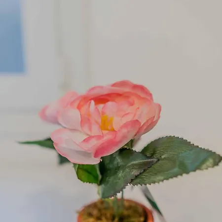 Appartement Isola Essence 200m Dal Bosco Verticale, Gae Aulenti, Garibaldi