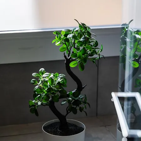 Botticelli 24 * Μιλάνο