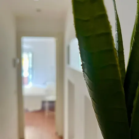 Apartment Porta Venezia Cozy *