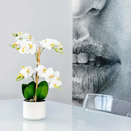 Apartment Panzeri Design - 2 Mins Darsena E Navigli Milan