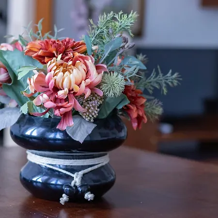 Apartament Casa Carozzi