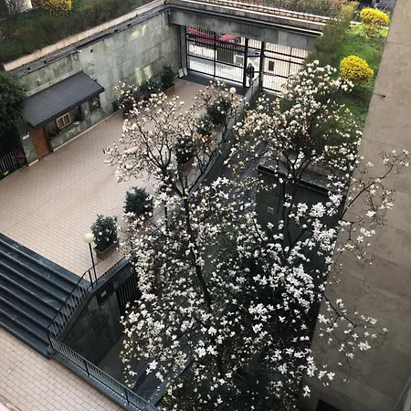 Music House - Carozzi *