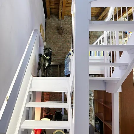 With Terrace And Loft With Garden In Naviglio Pavese Milan