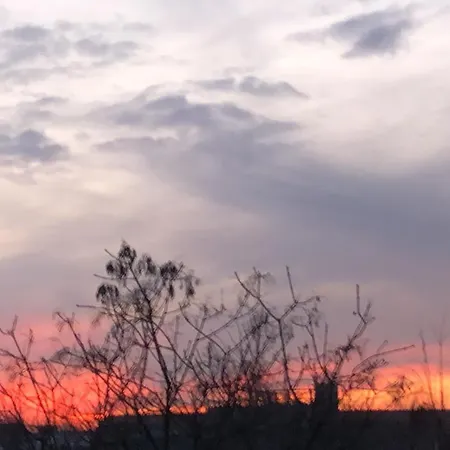 With Terrace And Loft With Garden In Naviglio Pavese Guest house