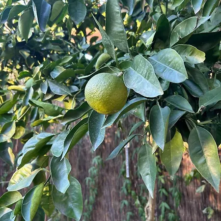 ゲストハウス With Terrace And Loft With Garden In Naviglio Pavese *