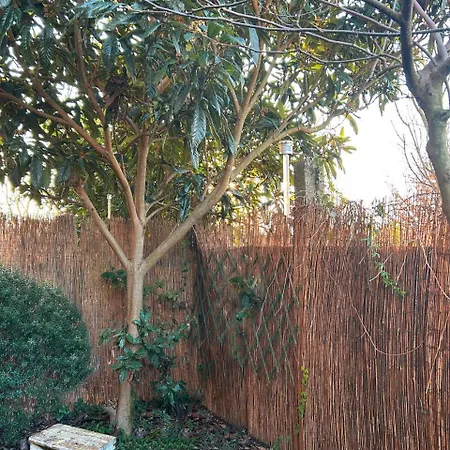 Guest house With Terrace And Loft With Garden In Naviglio Pavese Milan