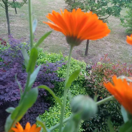 With Terrace And Loft With Garden In Naviglio Pavese Guest house Milan