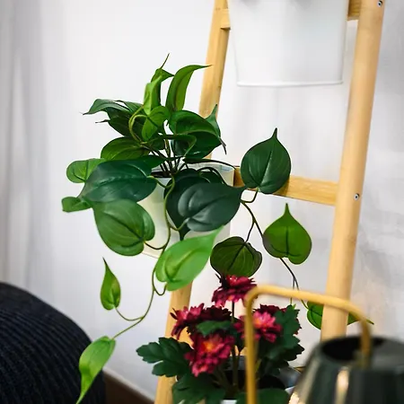 Insubria 8-dx - Monolocale Cool דירה מילאנו