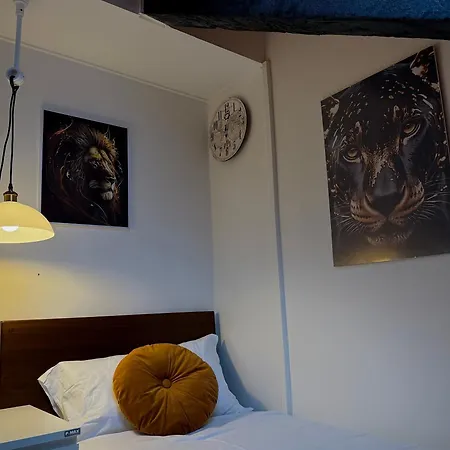 Apartment Hosting Dreams Attics - Duomo *