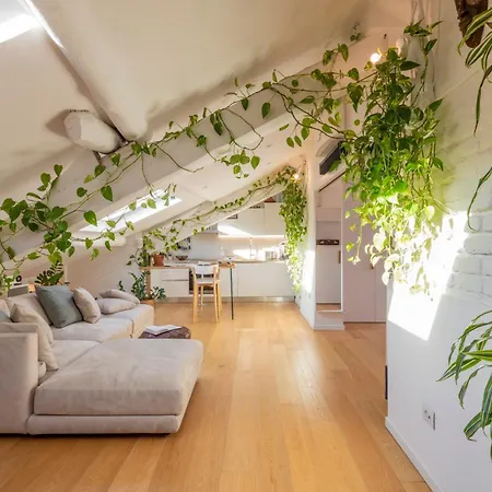 Bright Penthouse Attic In The Heart Of