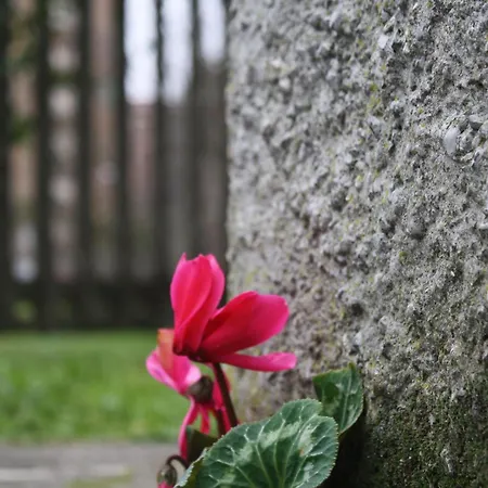 Apartamento White Flat Puglie *