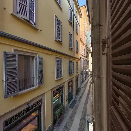 Flower - New Bright In Brera