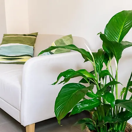 Maison Davia * ميلان