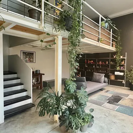 Loft Milanese Con Terrazza 米兰