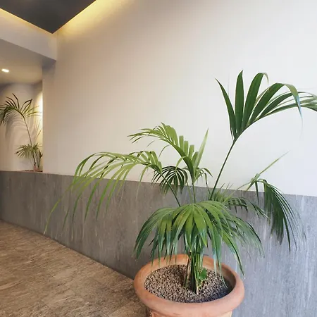 Primopiano - Fogazzaro