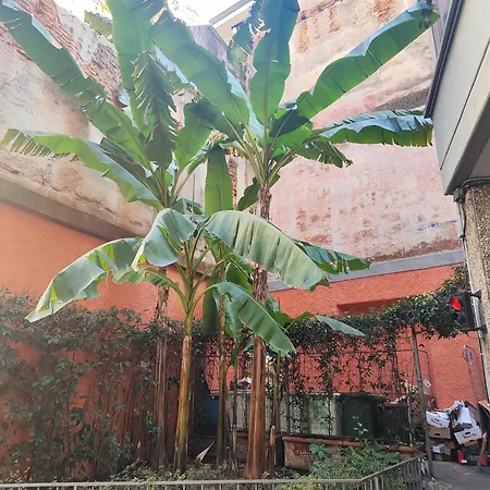 Memo Lejlighed Milano